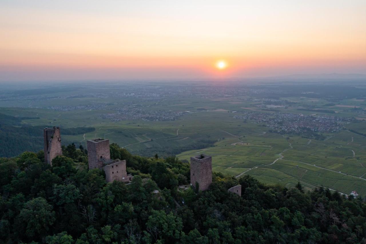 Studio Des 3 Chateaux ユスラン・レ・シャトー エクステリア 写真